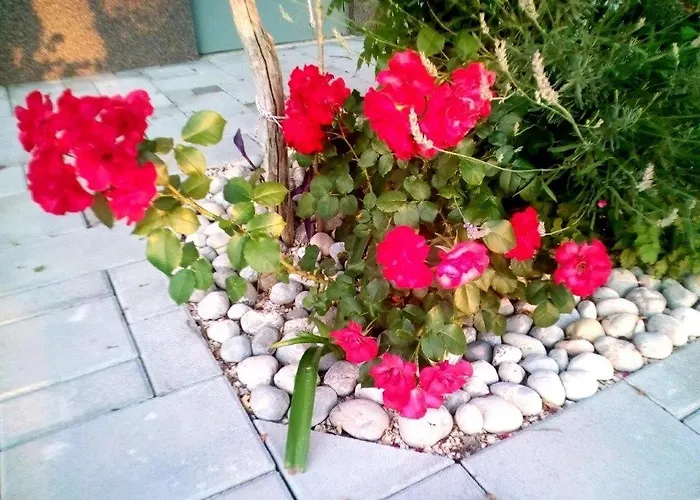 11683b Starigrad Paklenica